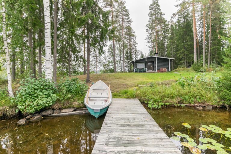 JUOJÄRVI 1