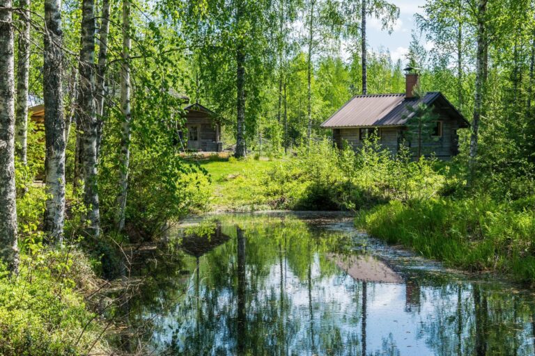 KOITEREEN PIILOPIRTTI