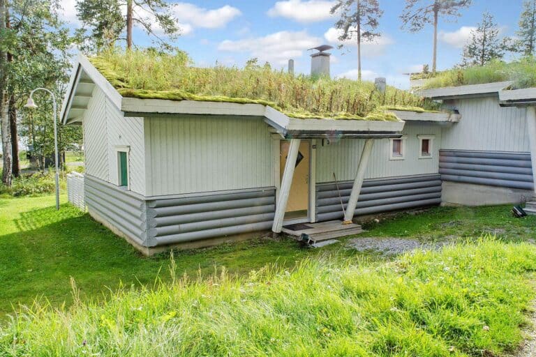 KULTA-KÄKÖNEN 3 BY BOMBA