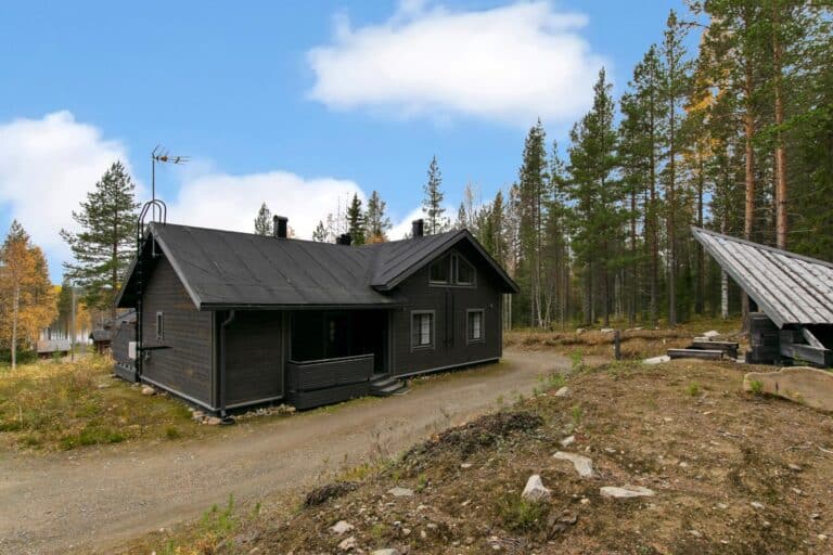 PYHÄNKARHU 4