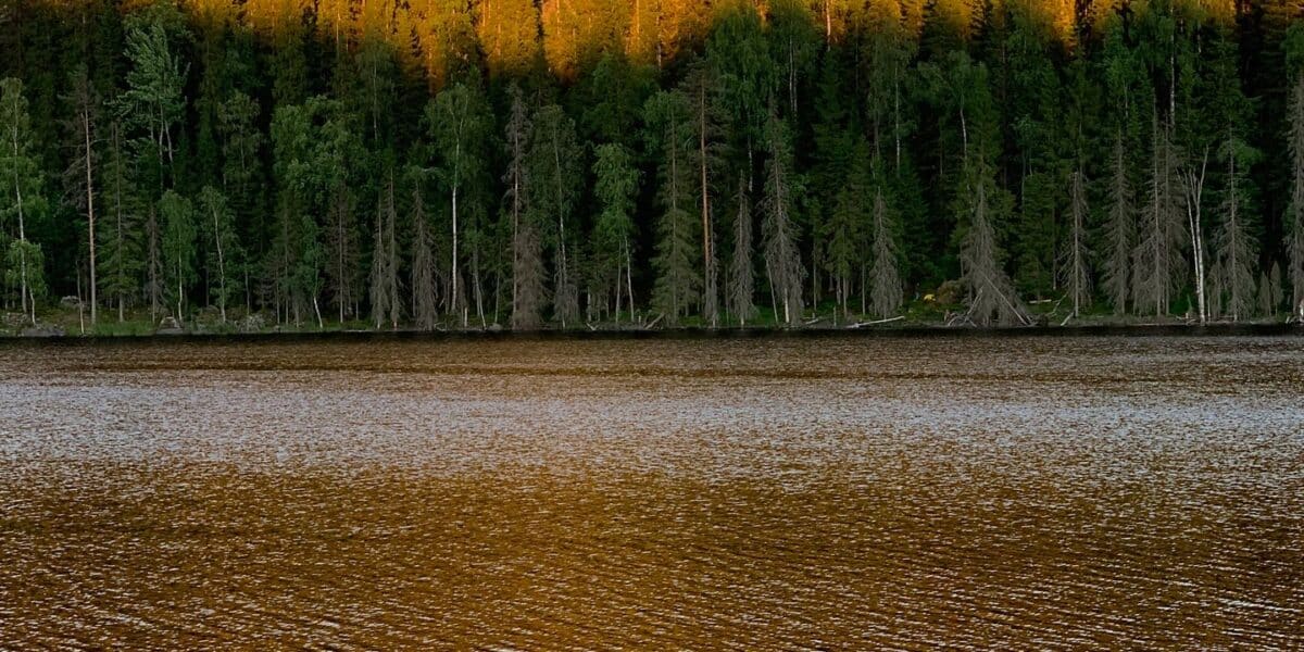 Oulu