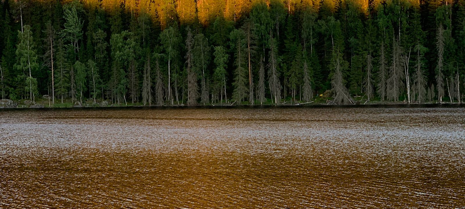 Taivalkoski