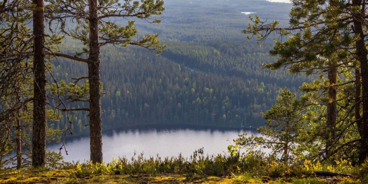 Hailuoto