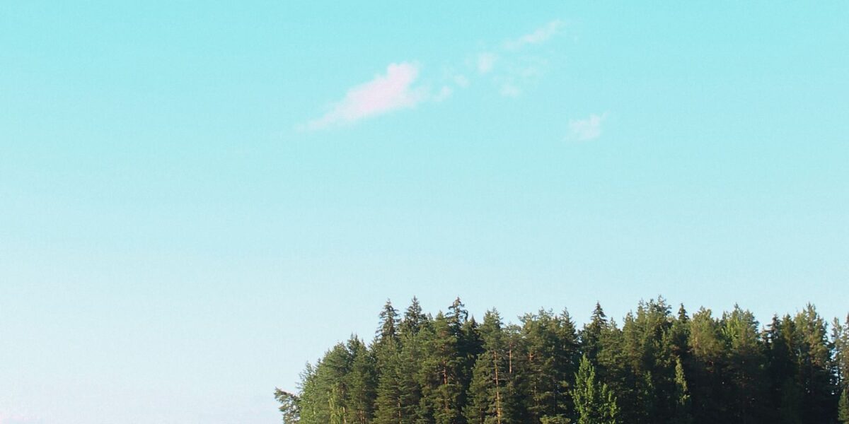 Rautjärvi