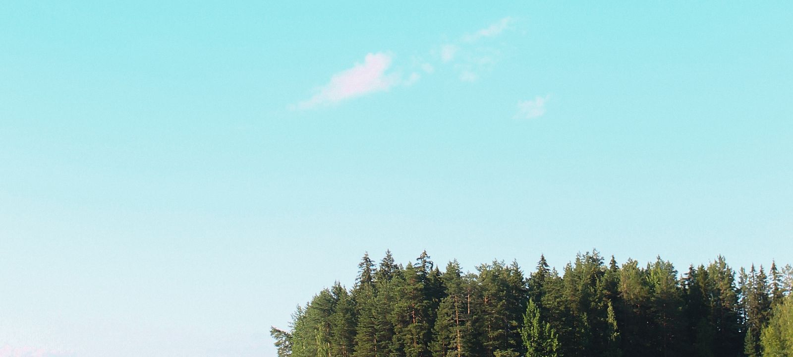 Etelä-Karjala