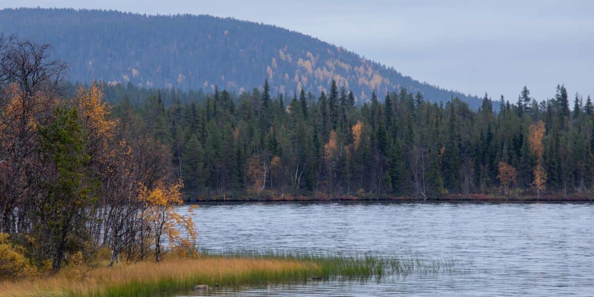 Ivalo