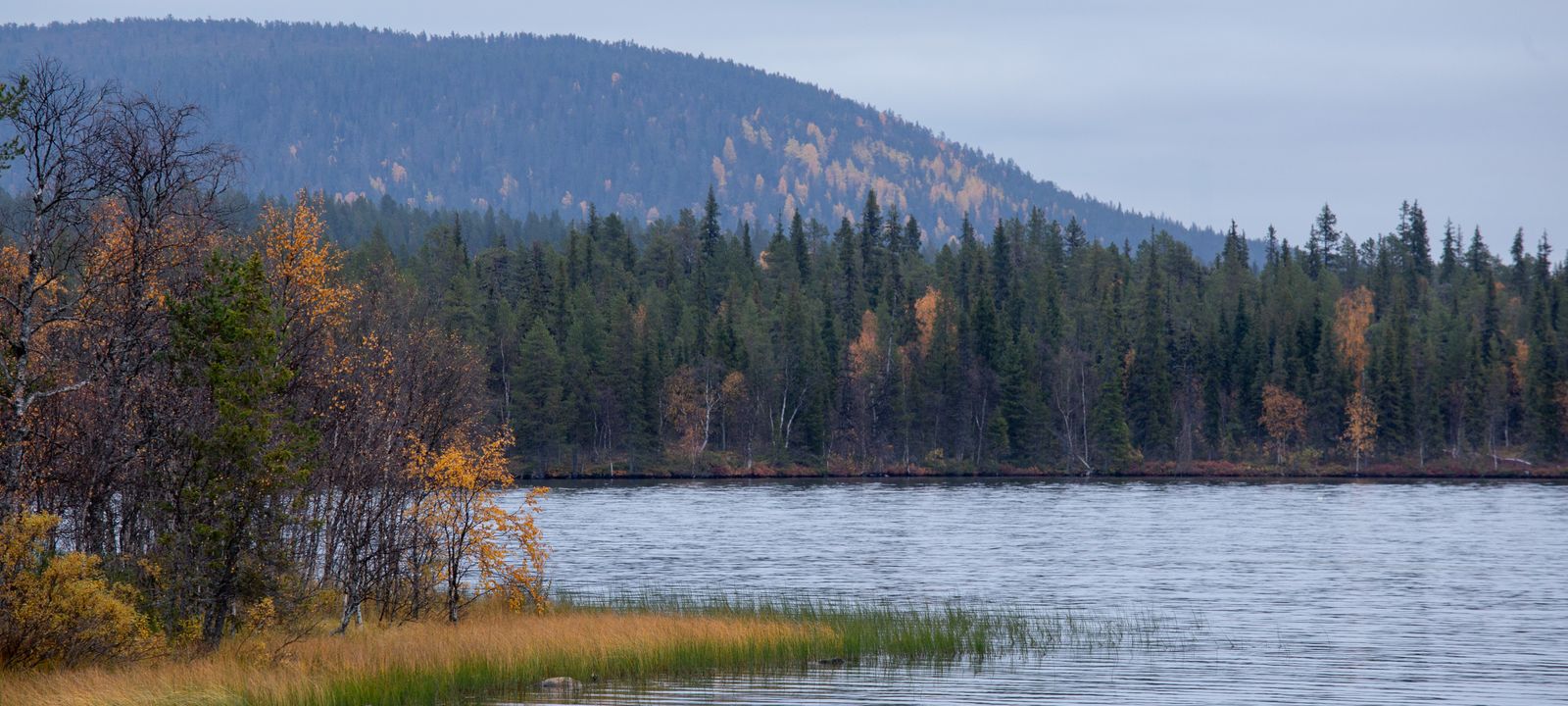 Ivalo