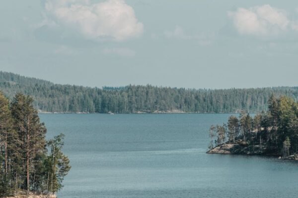 Järvimaisema mäntyineen, Suomi