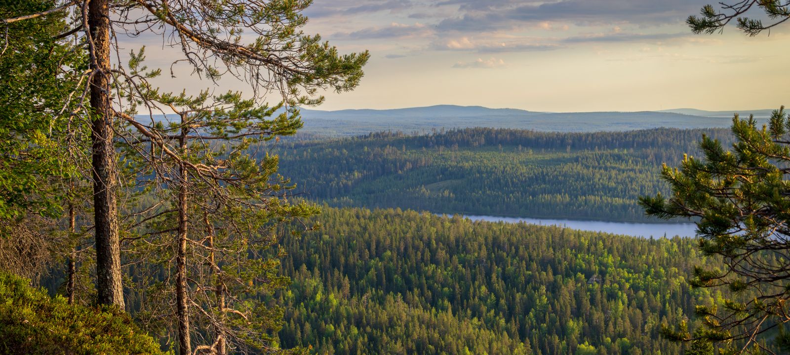 Salla