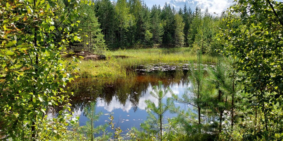 Pudasjärvi