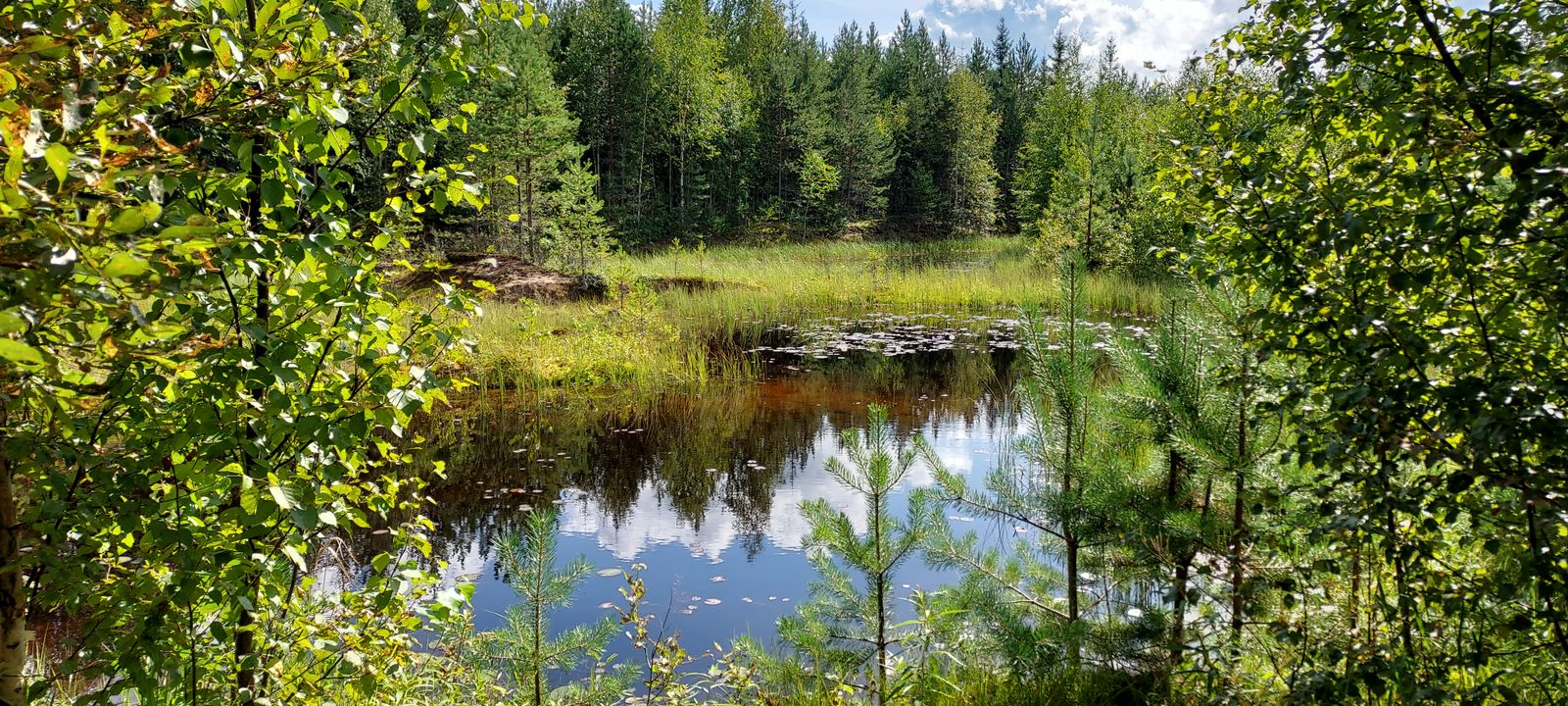 Pudasjärvi