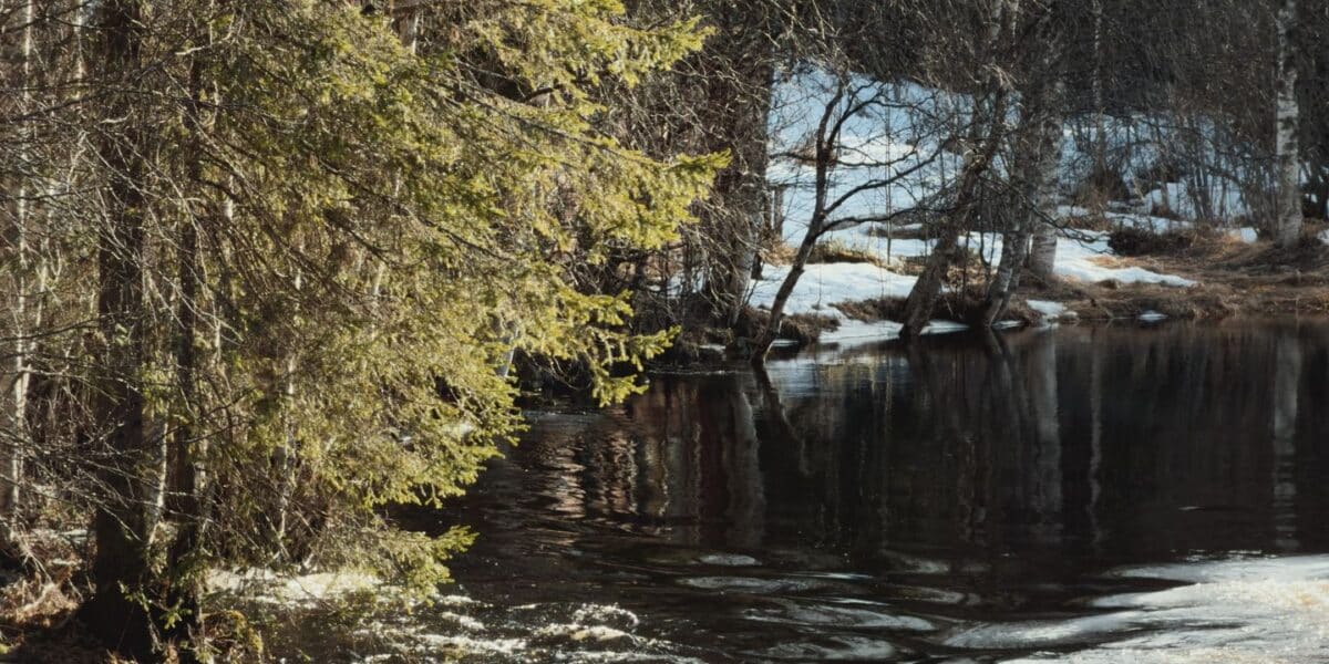 Kuivaniemi
