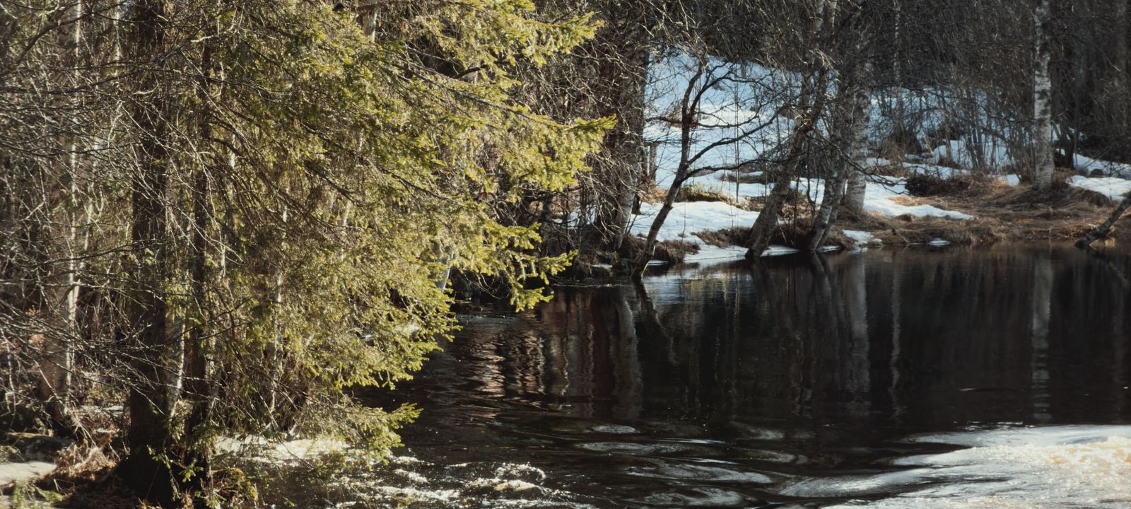 Kuivaniemi