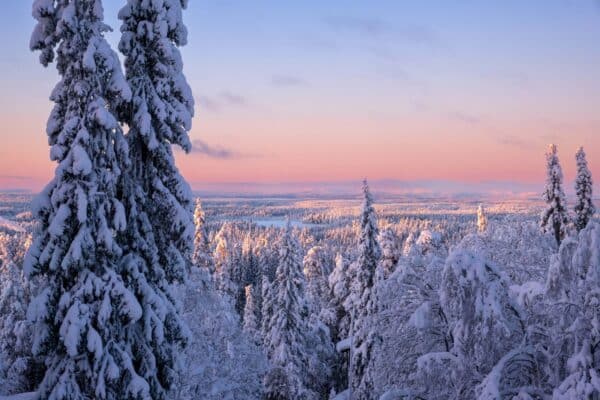 Auringonlasku lumisen metsän yllä Rukalla