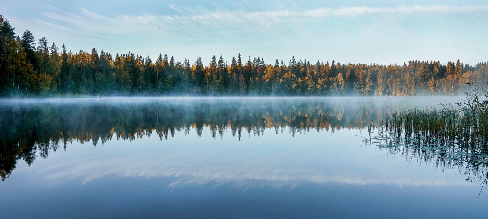 Sotkamo