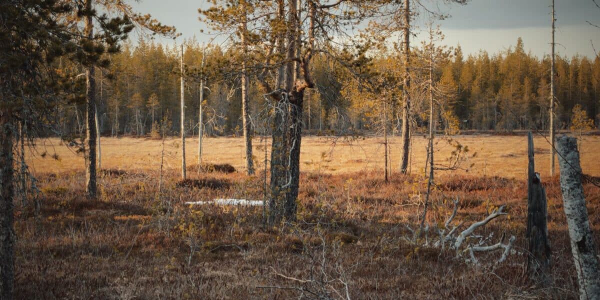 Enontekiö