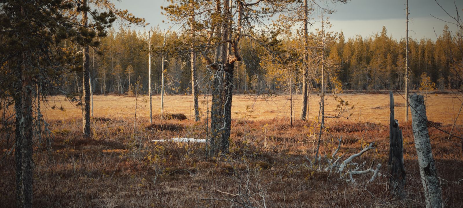 Enontekiö