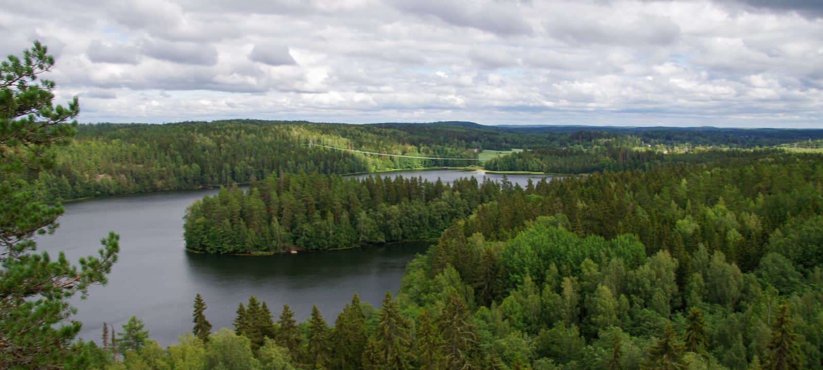 Siikajoki